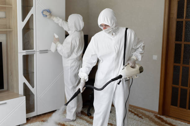Professional Mold Remediation in Sheffield, AL