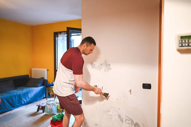 Best Residential Mold Remediation in Sheffield, AL